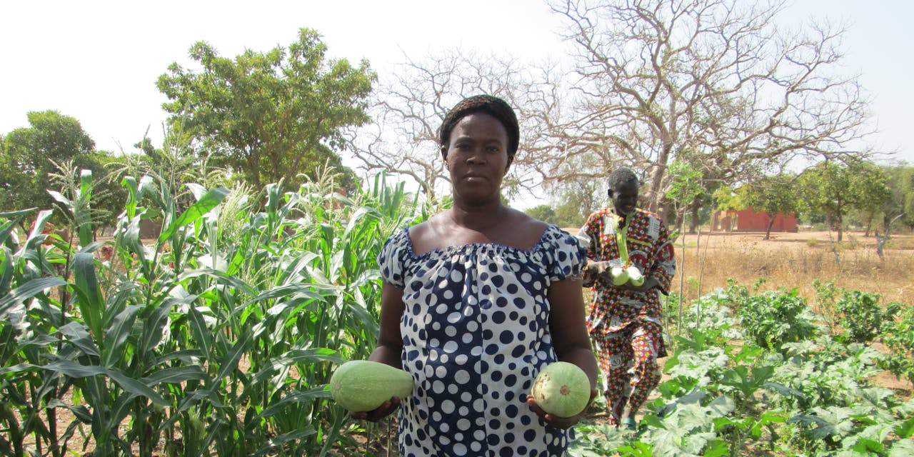 Vrouw met meloenen in veld Afrikaanse vrouw met meloenen in veld