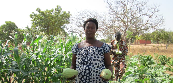 Afrikaanse vrouw met meloenen in veld