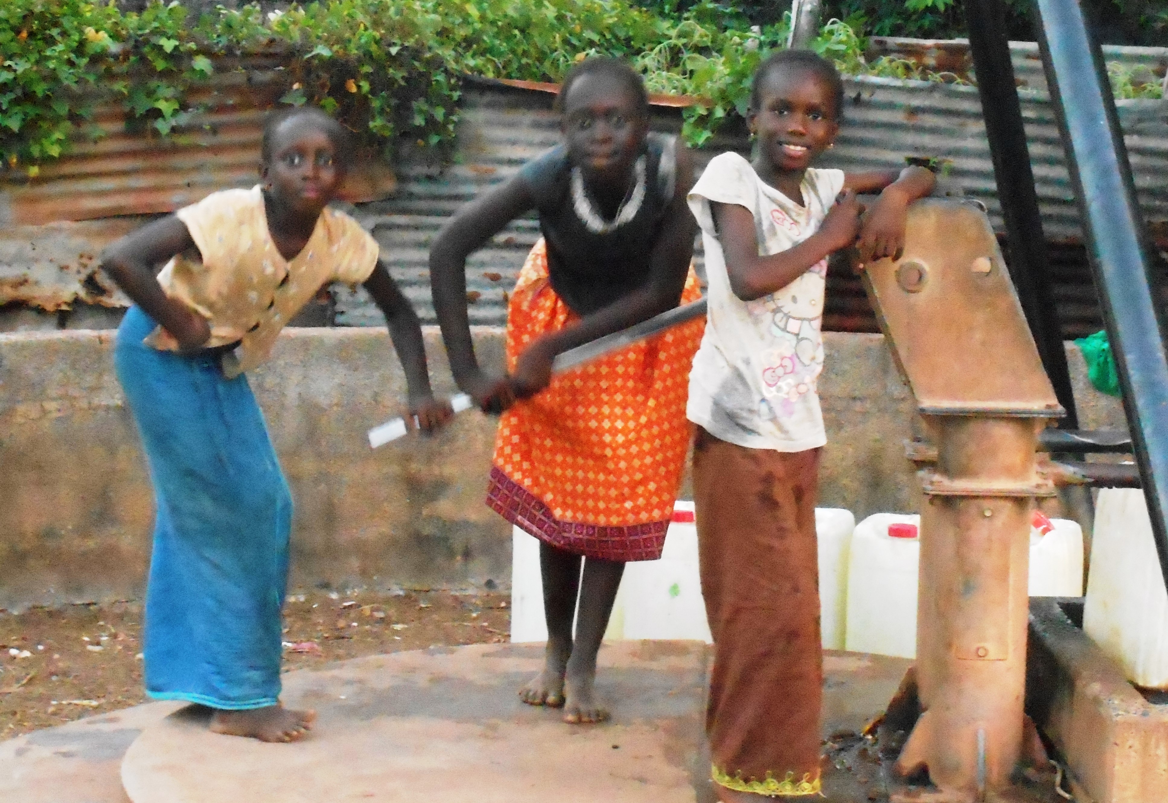 Schoon drinkwater voor vier dorpen in Gambia