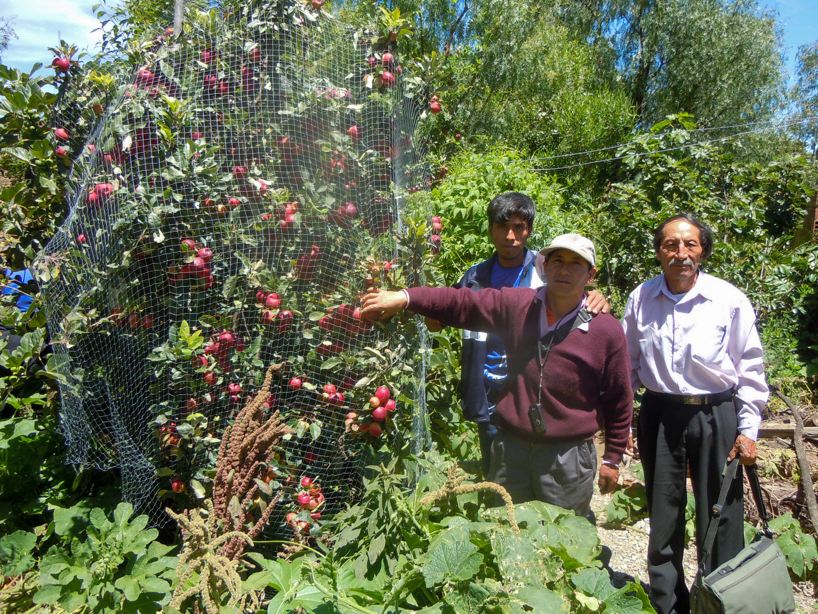 Een vader en zoon poseren bij een afgedekte appelboom in Bolivia.