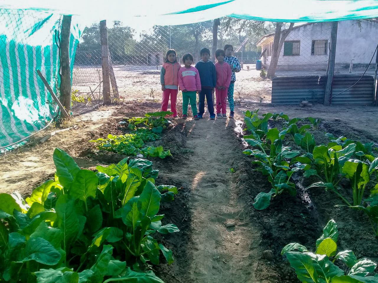 Vijf kinderen staan bij een overdekte moestuin in Argentinië.