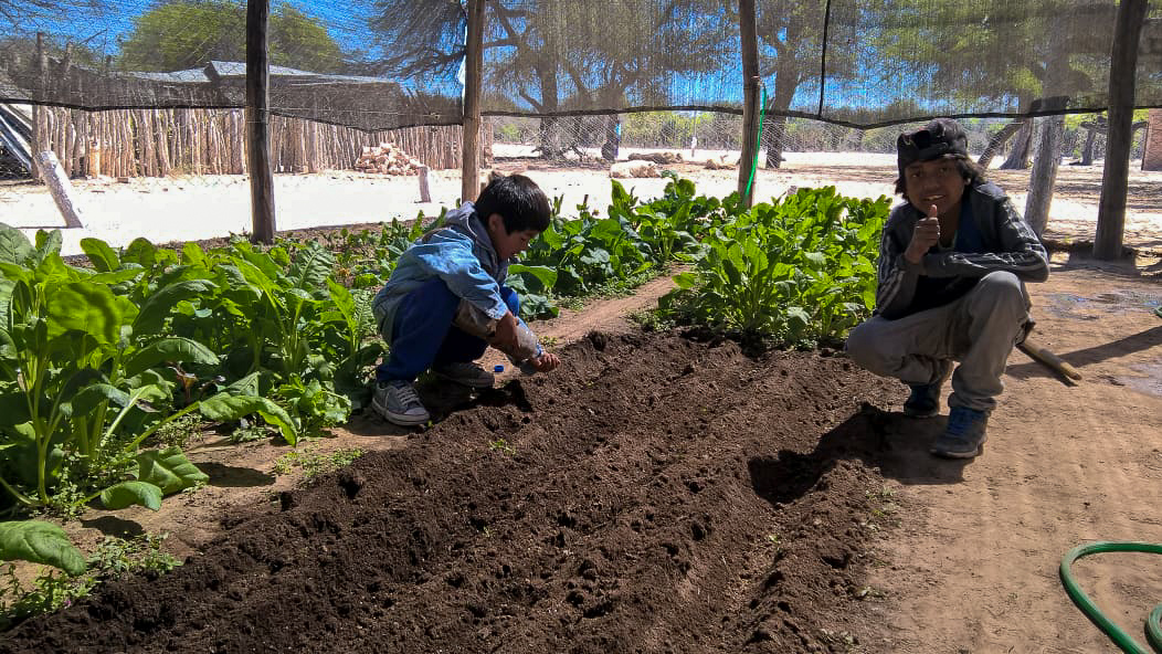 Twee kinderen werken in de moestuin in Argentinië.