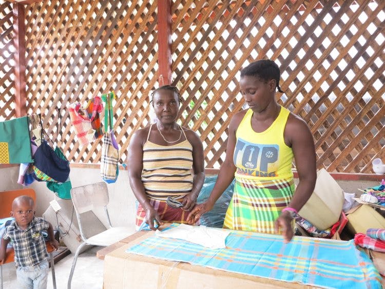 Ontwikkelingsproject Suriname