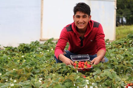 Enrique Gómez Castro in Peru