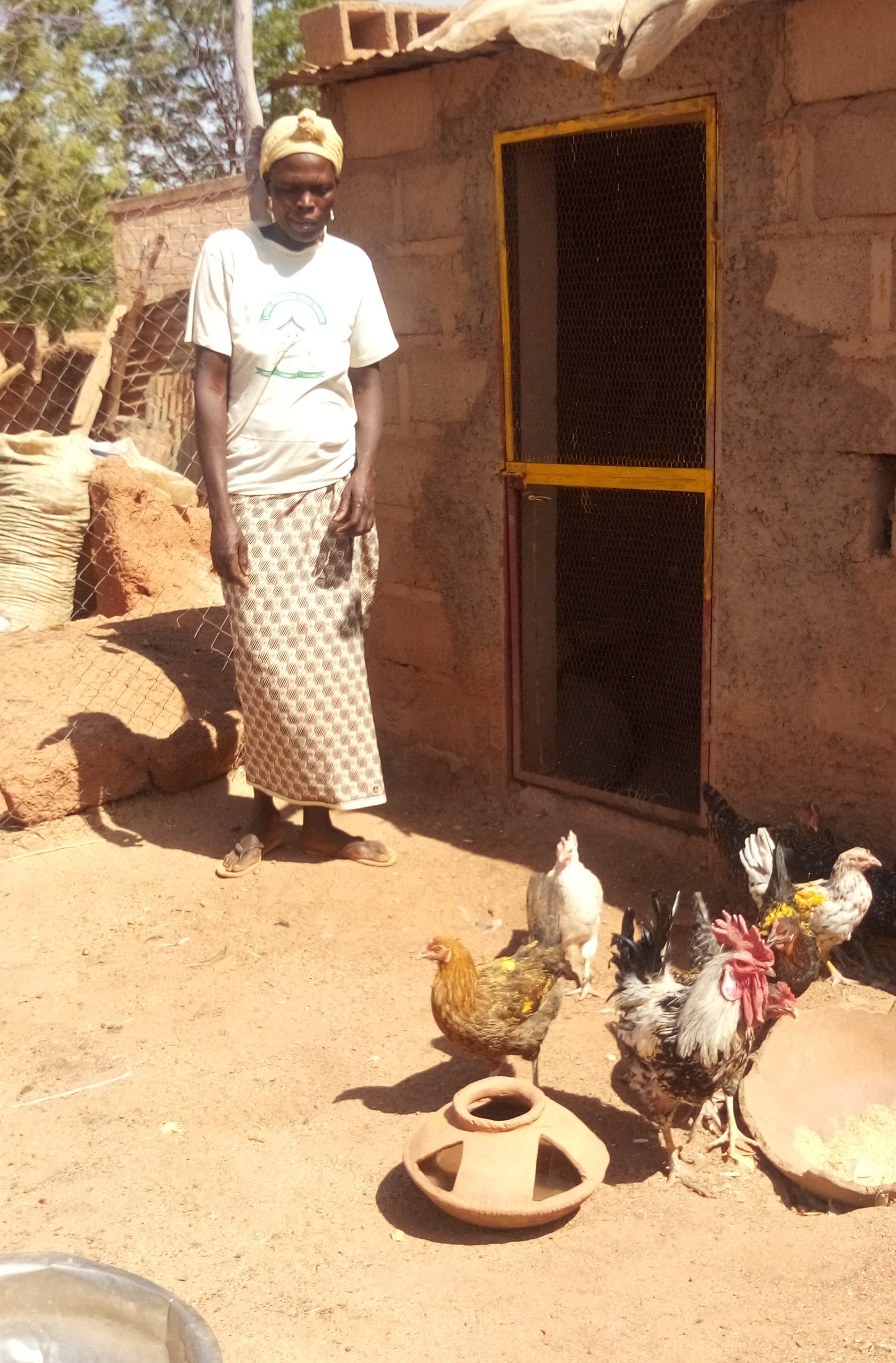 Een kippenboerin in Burkina Faso kijkt naar haar kippen.