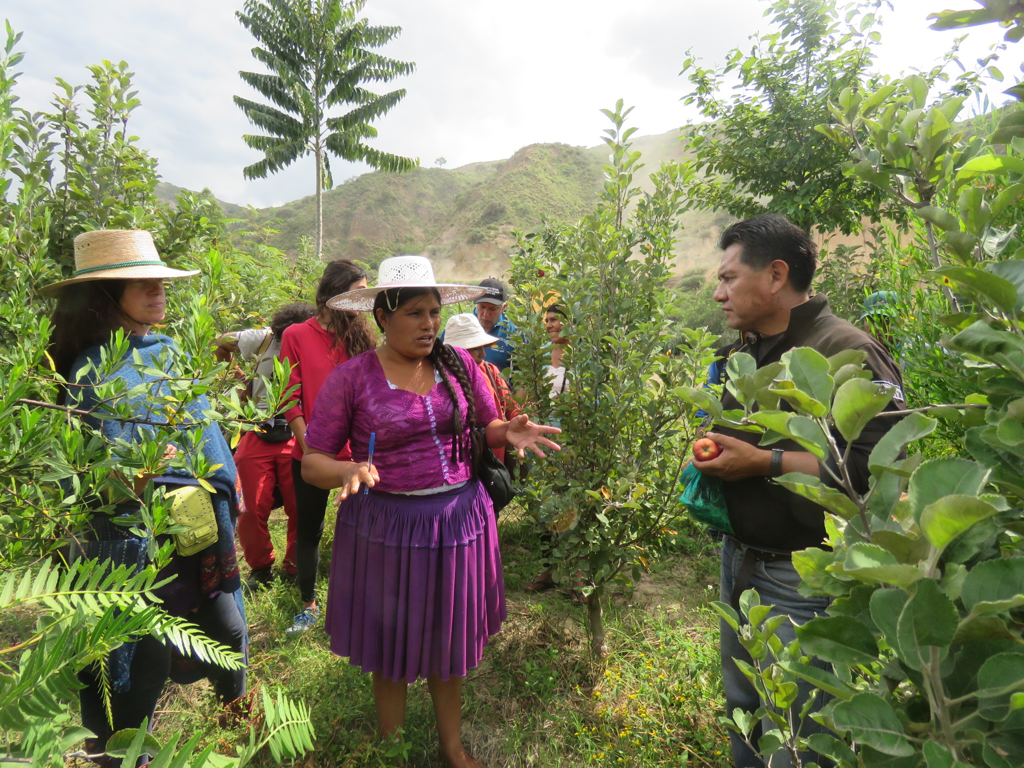 Duurzaam boeren in Bolivia.