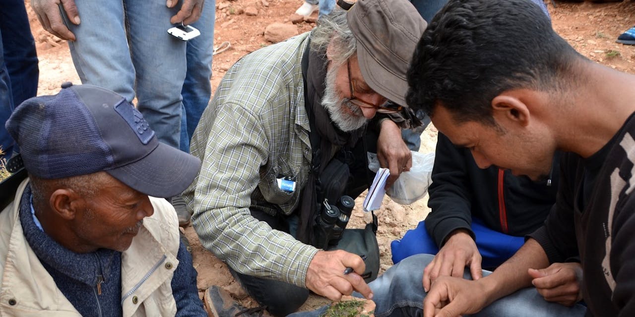 Een man en jongen bekijken groene plantjes in het Atlas gebergte in Marokko.