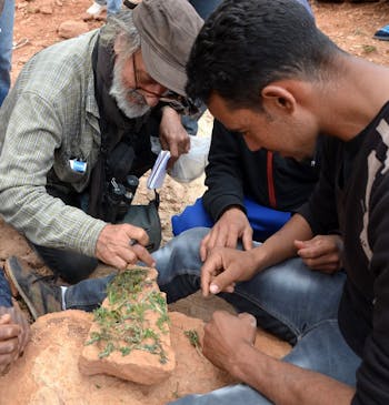 Een man en jongen bekijken groene plantjes in het Atlas gebergte in Marokko.