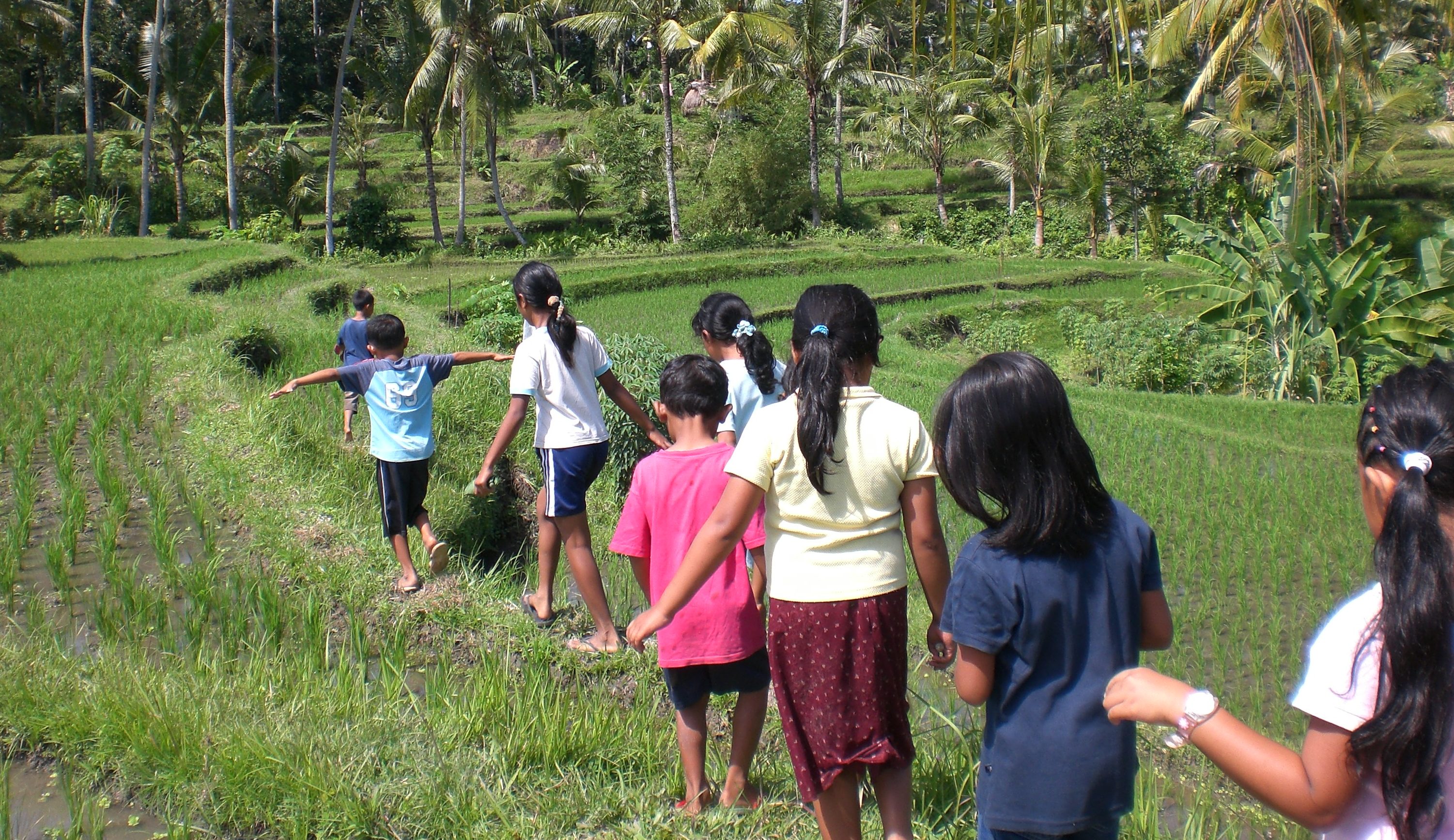 Kinderen met een beperking lopen door een rijstveld in Bali.
