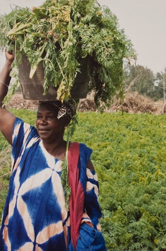 Een vrouw met de oogst uit haar groententuin op haar hoofd in Mauritanie.
