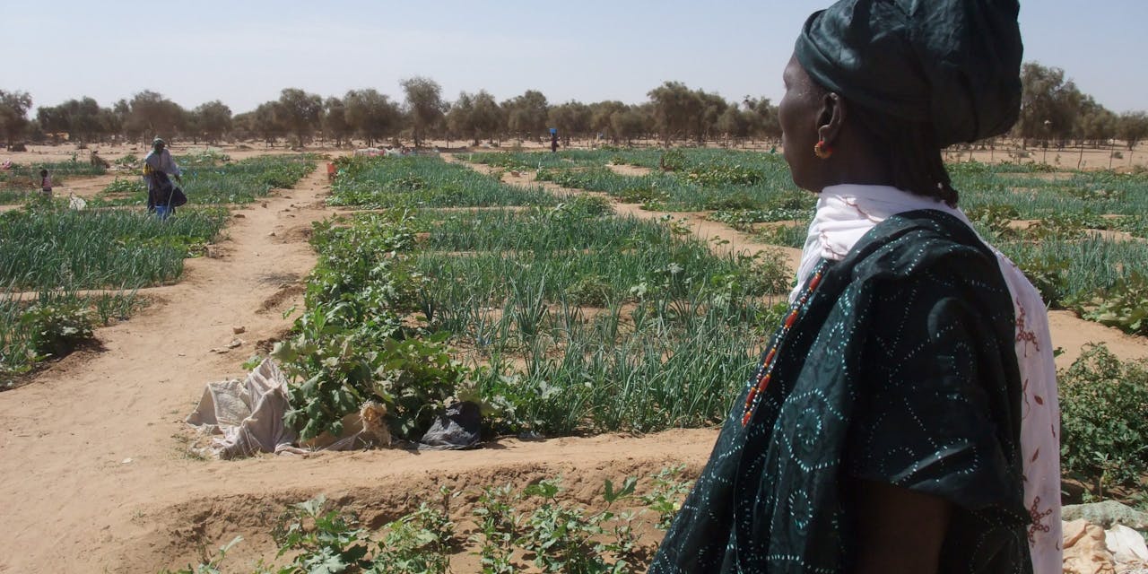 Vrouw Mauritanië Een vrouw uit Mauritanië bij de moestuinen.