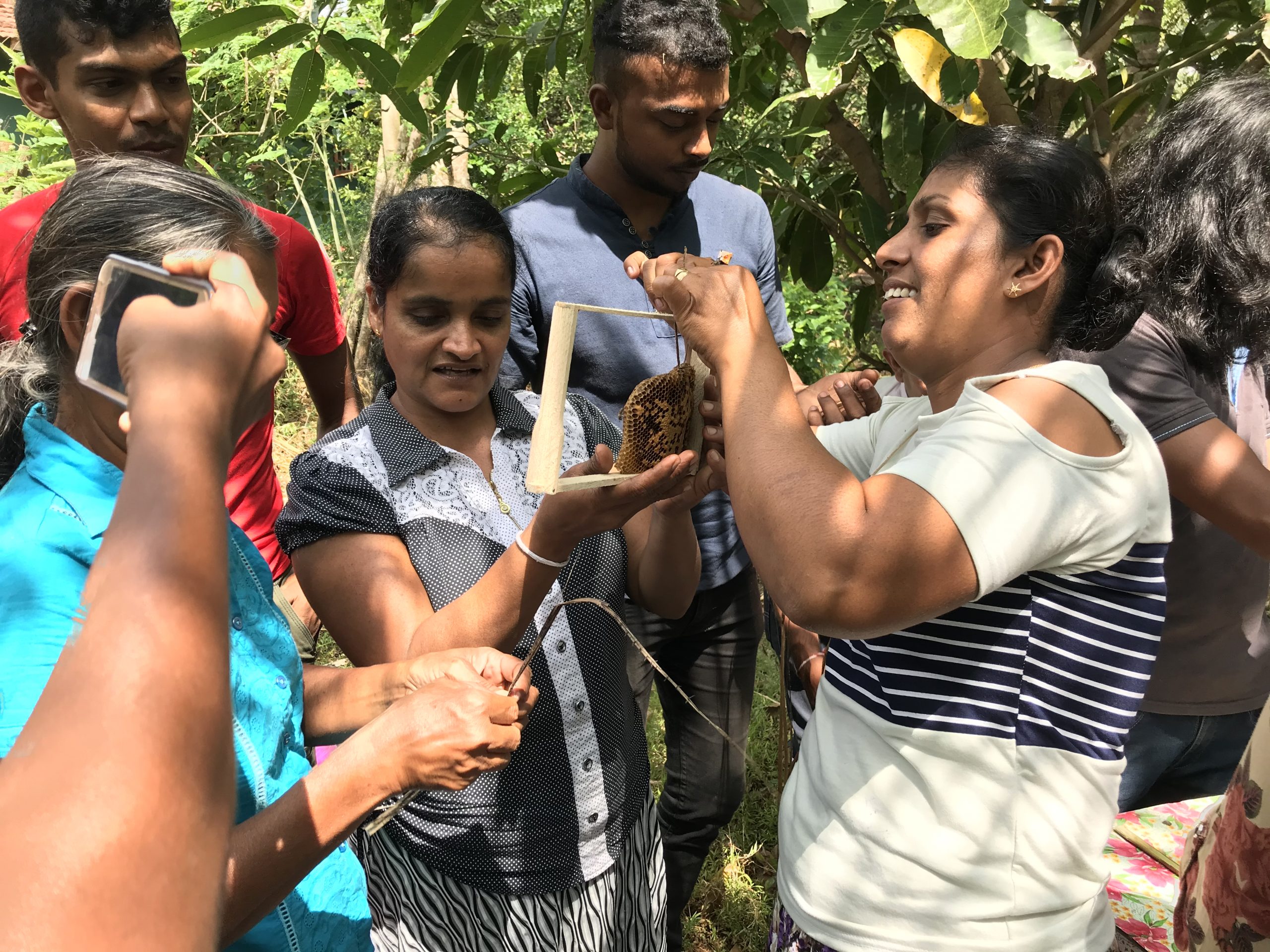Honing als middel tegen armoede in Sri Lanka.