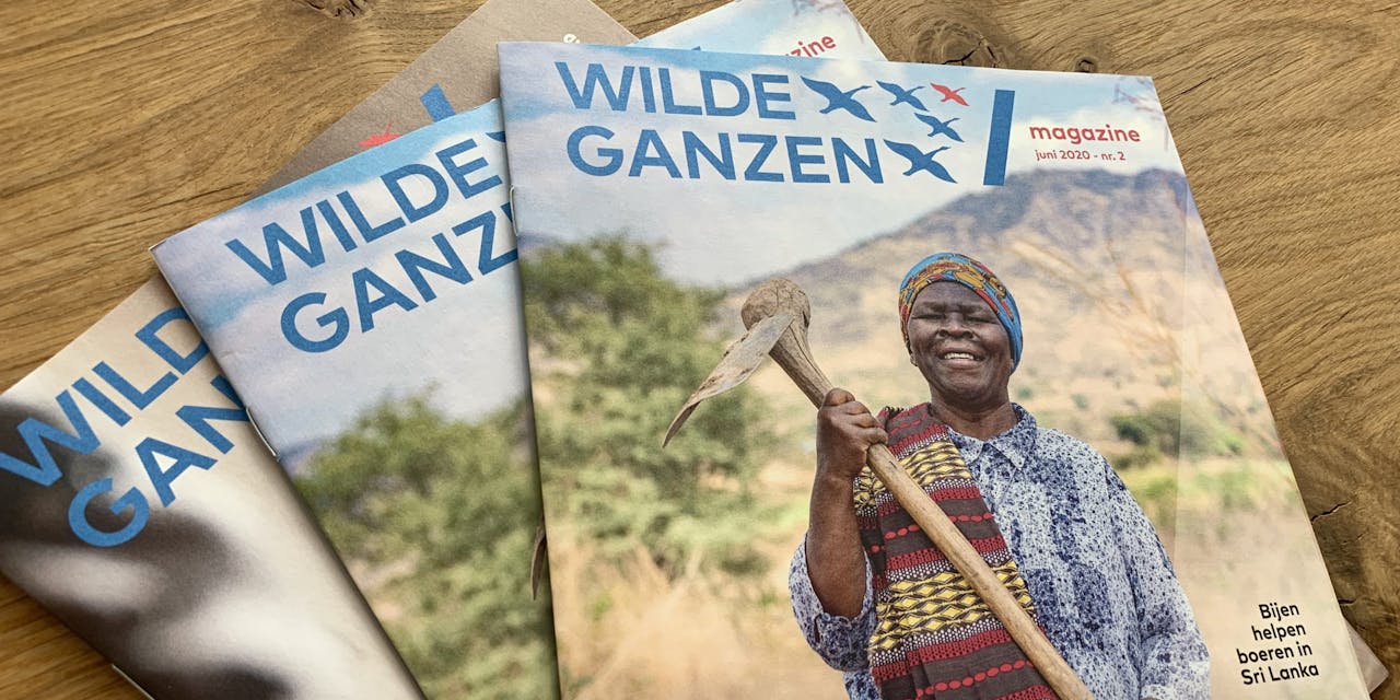 Drie Wilde Ganzen Magazines