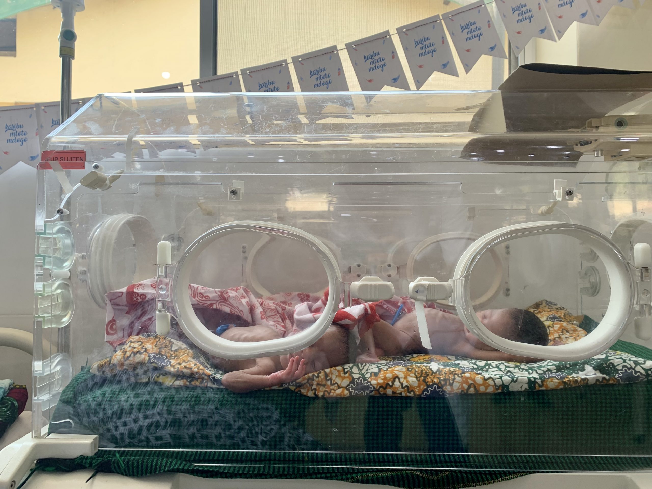 Twee baby's in een couveuse. Op de achtergrond een slinger met Wilde Ganzen kaartjes.