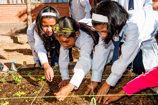 Drie meisjes aan het werk in een moestuin in Bolivia.