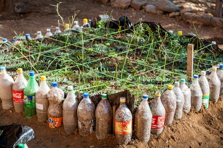 Een moestuintje gemaakt van flessen in Bolivia