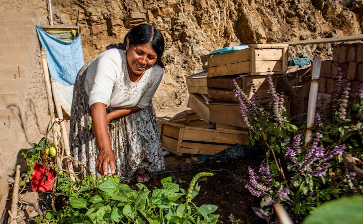 Een vrouw werkt in haar moestuin in Bolivia.