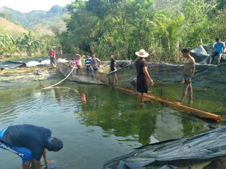 Een visvijver in Guatemala