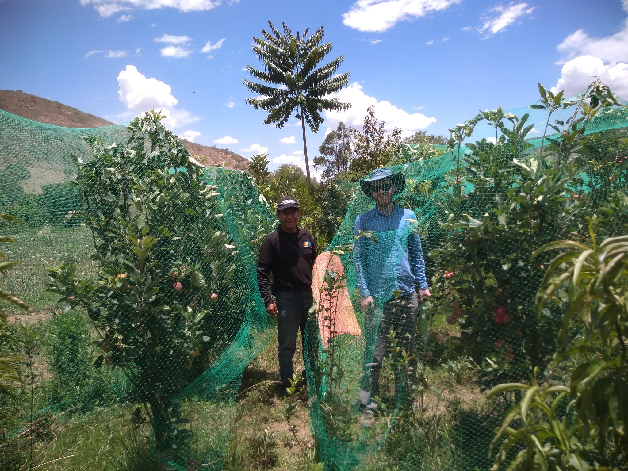 Twee mensen staan bij beschermde gewassen in Bolivia.
