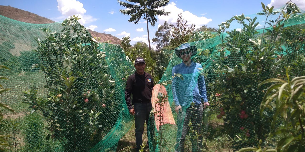 Twee mensen staan bij beschermde gewassen in Bolivia.
