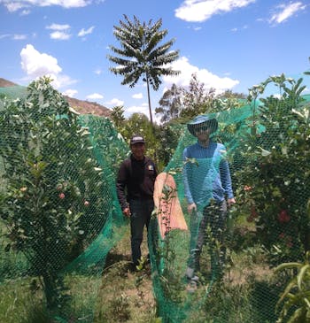 Twee mensen staan bij beschermde gewassen in Bolivia.