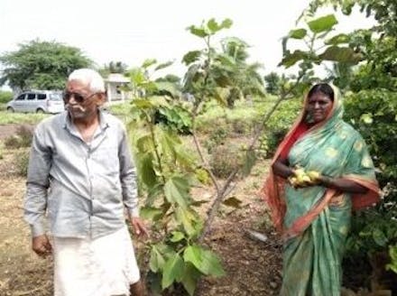 Mevrouw Mane in haar tuin in India.