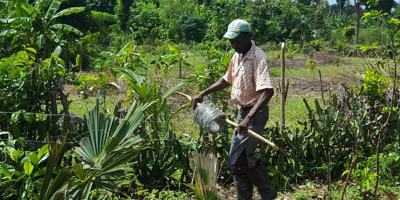 Een man aan het werk in een tuin in Haïti