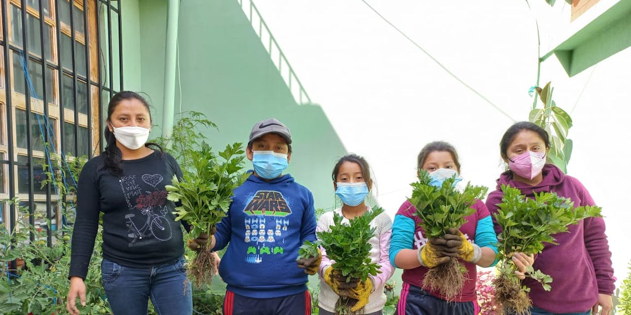 Vijf jonge kinderen in de moestuin van hun school in Guatemala.