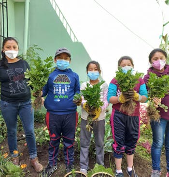 Vijf jonge kinderen in de moestuin van hun school in Guatemala.