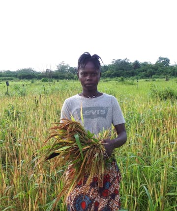 Een boerin in het veld in Sierra Leone.