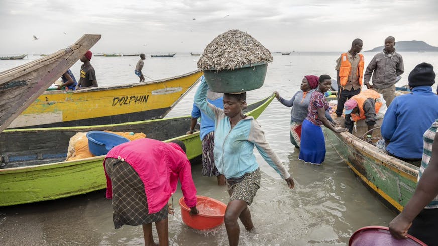 Een vrouw waadt naar de kant met een emmer vol vis op haar hoofd in Kenia.