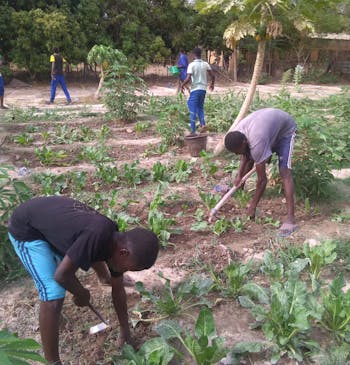 Jongeren leren tuinieren in een vakschool in Burkina Faso.