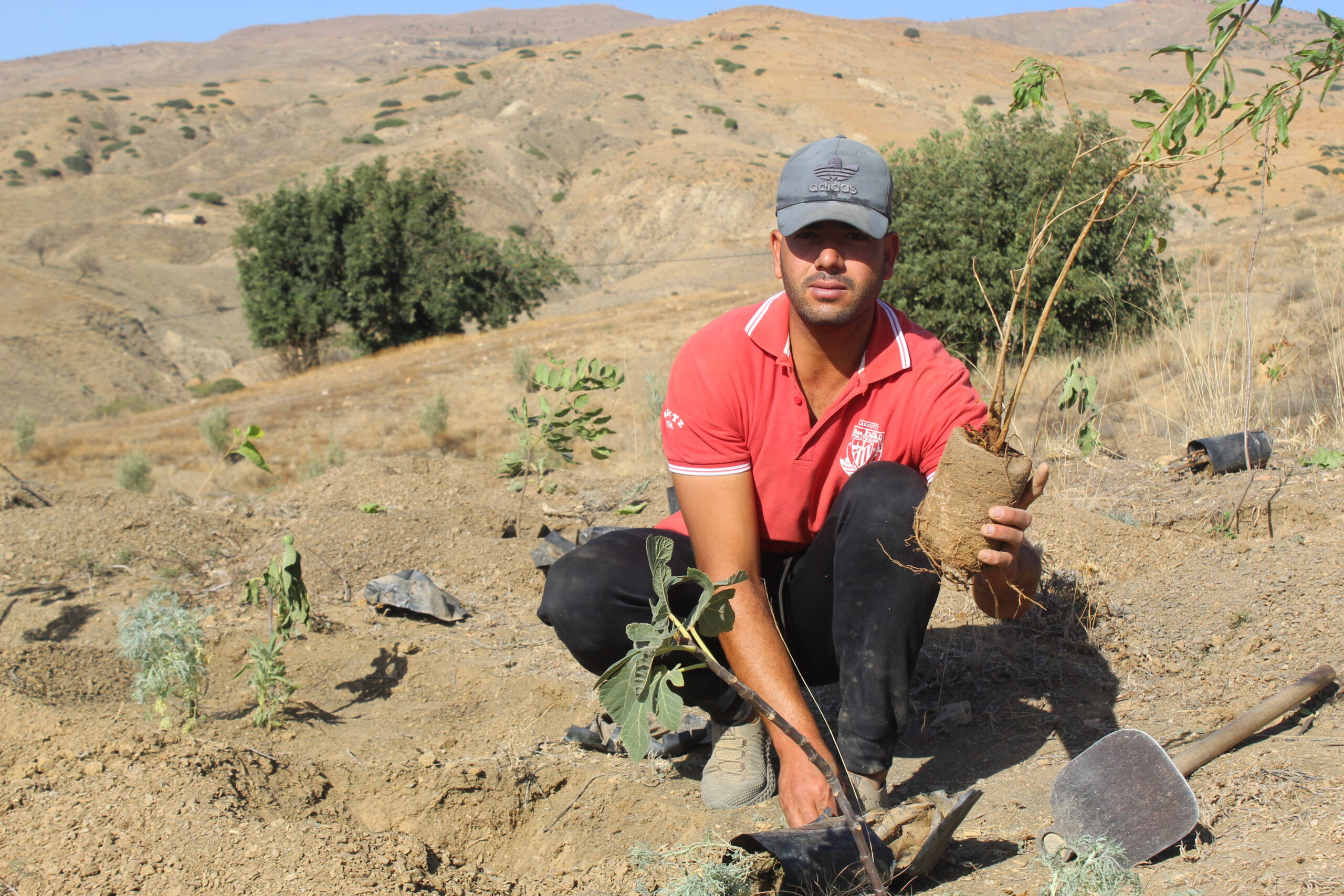 Een Marokkaanse boer plant een boom.