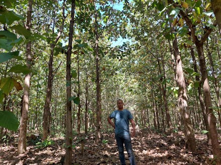 Eamonn Hanson bij aangeplant bos in Sierra Leone