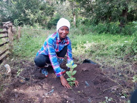 Jongeren planten bomen in Sierra Leone