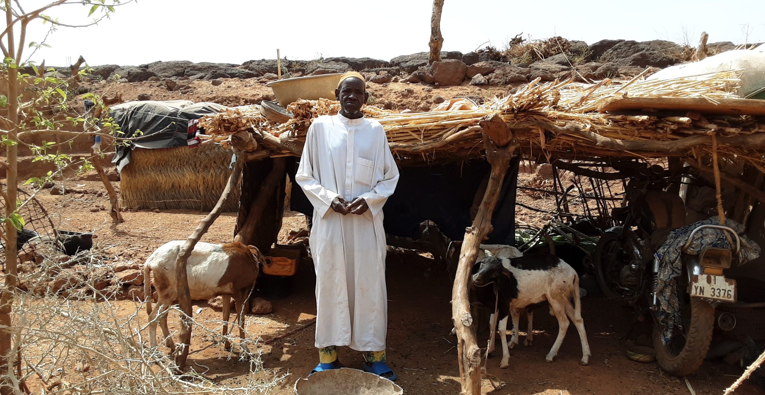 Een man staat bij zijn schapen