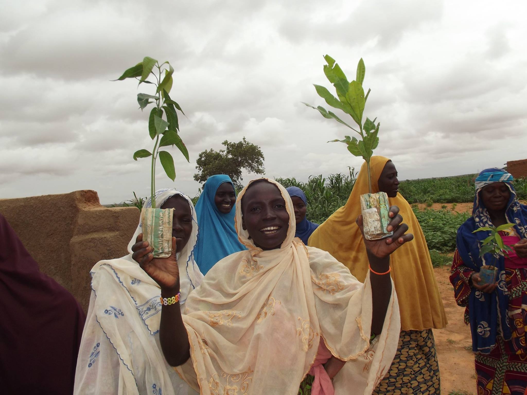 Herbebossing dankzij vrouwen