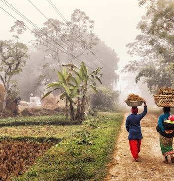 Vrouwen lopen in de mist in Nepal