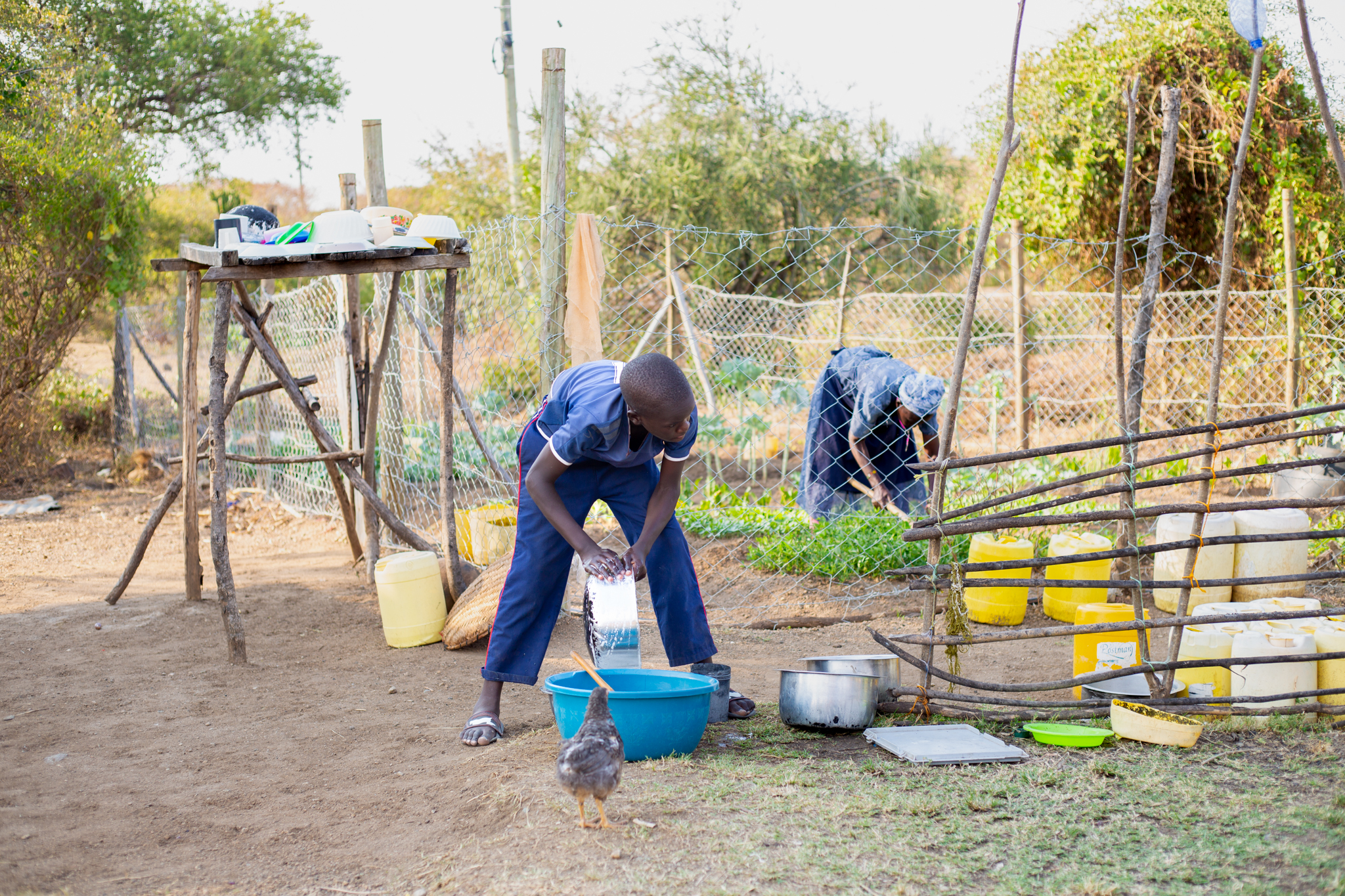 Een jongen staat bij een moestuin