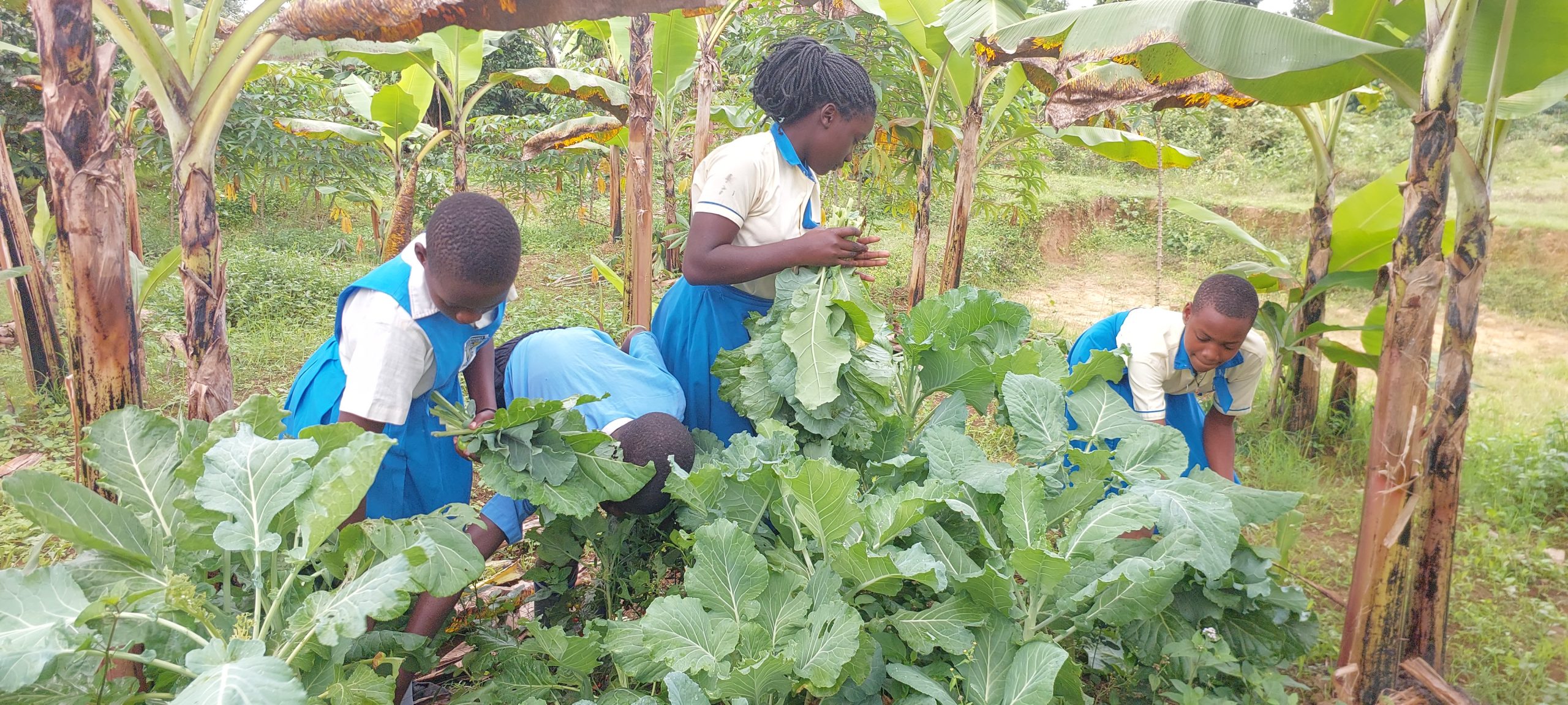 Scholieren in uniform in een moestuin